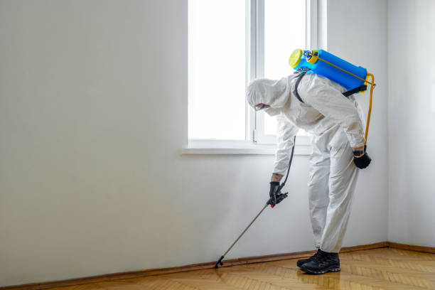 Best Pest Removal Services  in Ledgewood, NJ