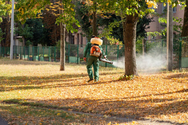 Best Local Pest Control Services  in Ledgewood, NJ